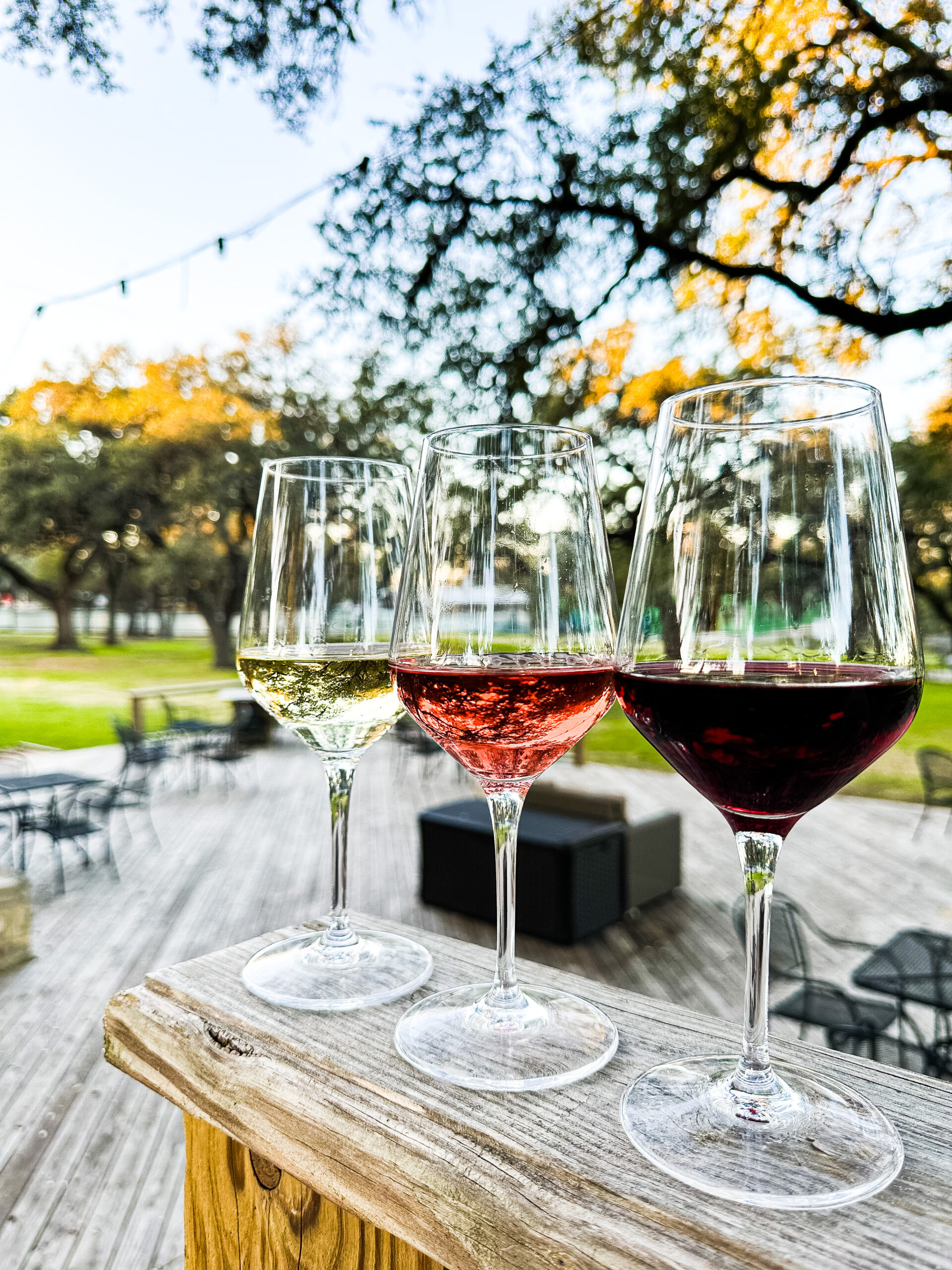 Wimberley Valley Winery in Driftwood, TX (2)