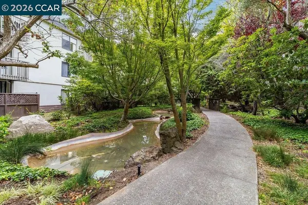 Blake Bergesen, Realtor in Pleasant Hill, CA (4)