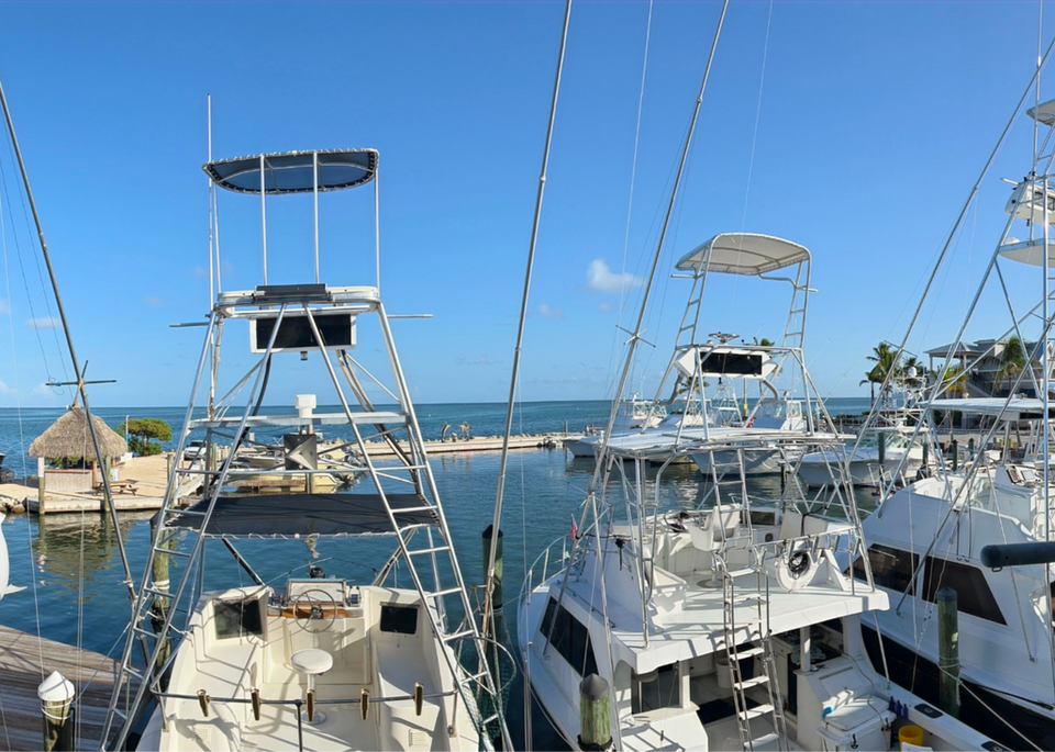 Wahoo's Seafood Bar and Grill Restaurant in Islamorada, FL