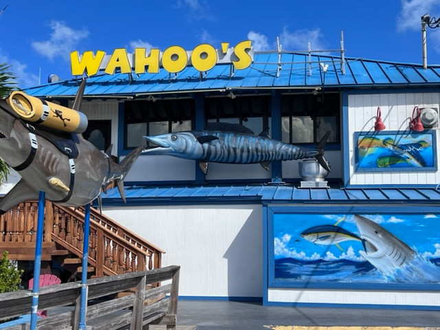 Wahoo's Seafood Bar and Grill Restaurant in Islamorada, FL (3)