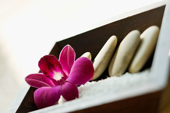 Viva Nails & Spa in New Britain, PA (4)