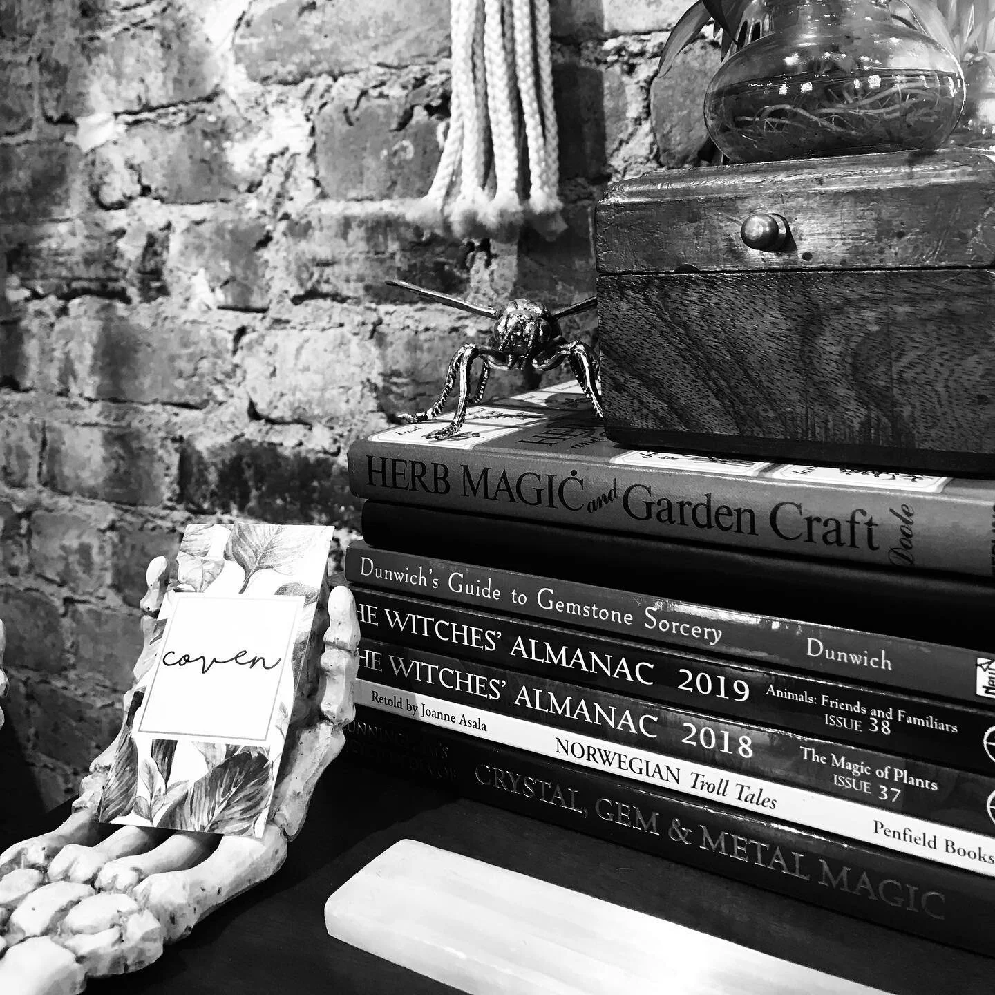 Coven Haircraft in Charleston, SC (4)