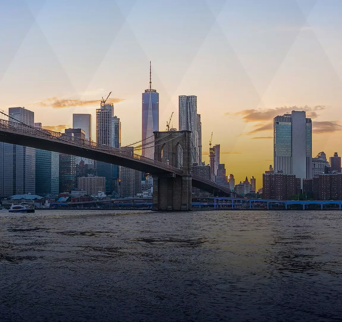 Law Offices of Iannuzzi and Iannuzzi in New York, NY (5)