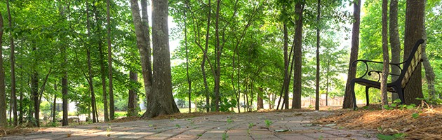 The Town of Mt Laurel in Birmingham, AL (3)
