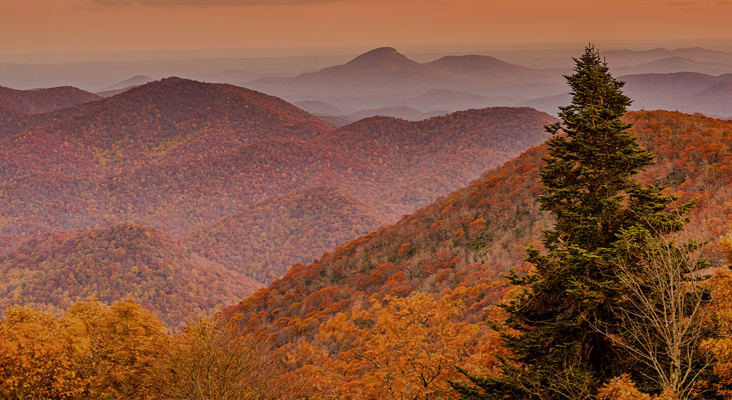 Dutton & Dutton Law Firm, LLC in Griffin, GA (2)