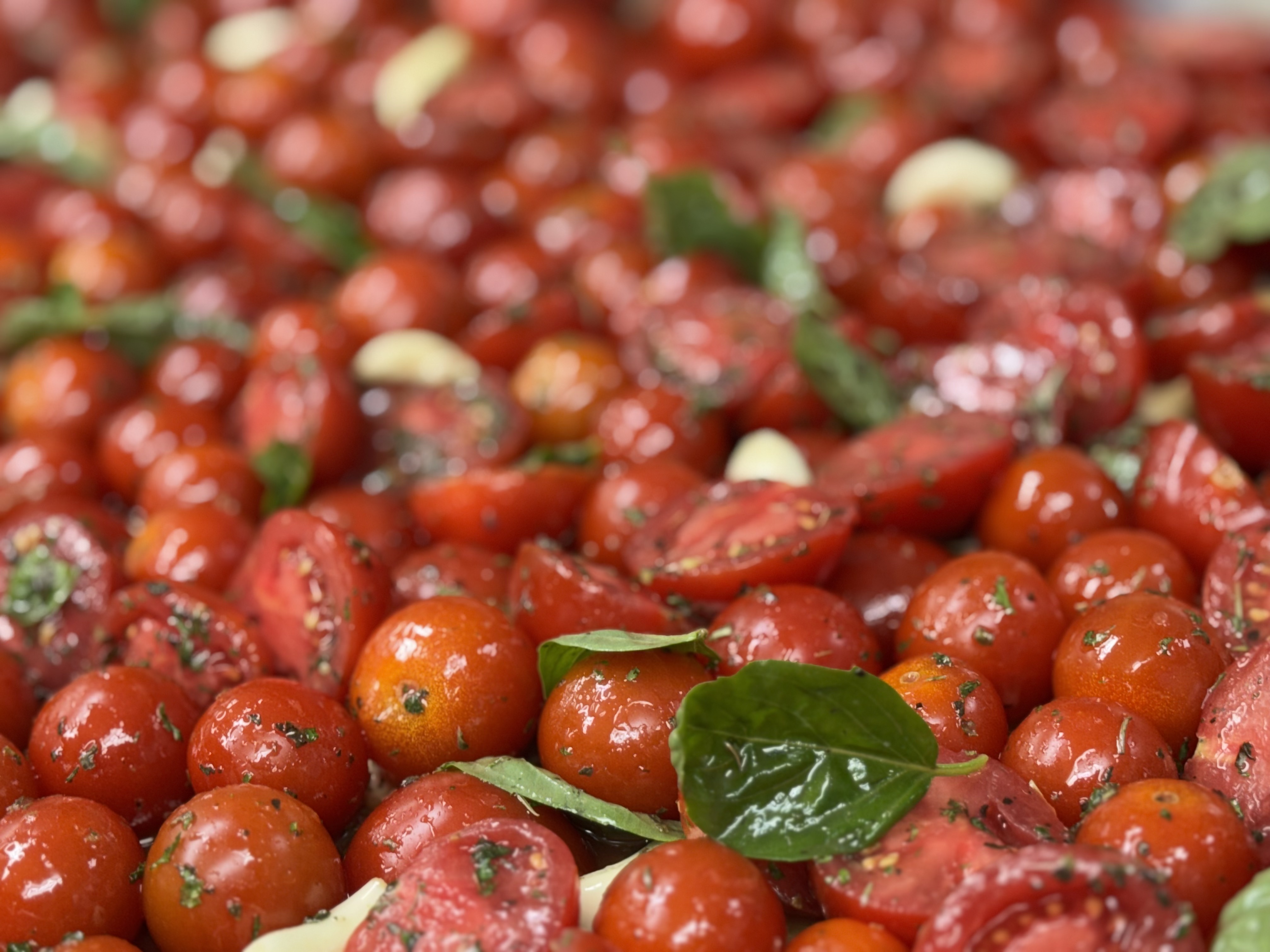 The Tipsy Tomato Restaurant and Wine Bar in Cleveland, GA (2)