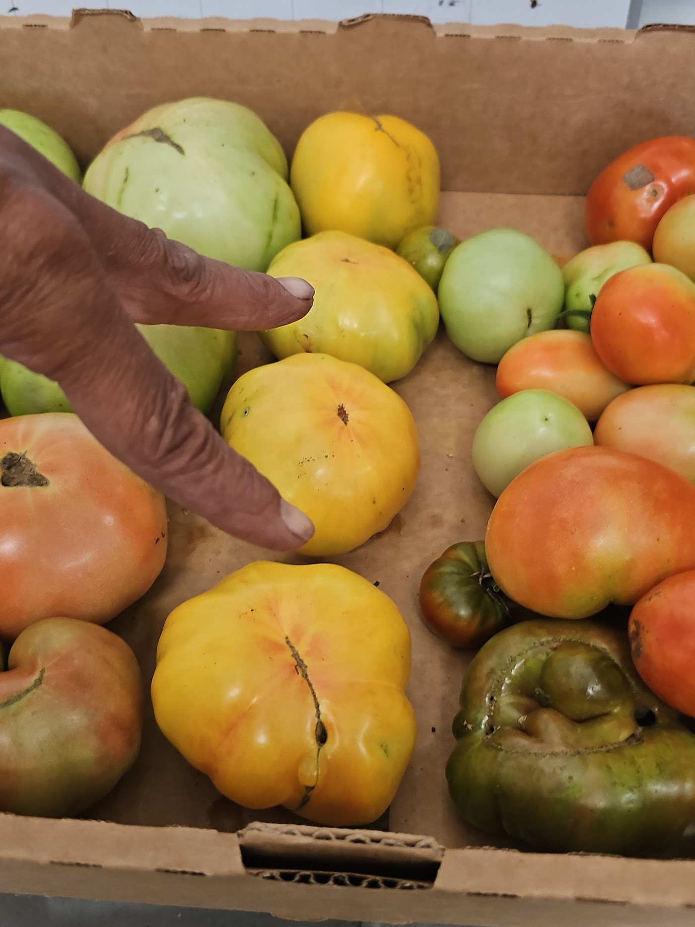 Drozik's Urban Farms in High Point, NC