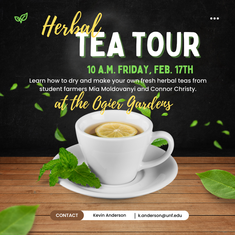 MW Graphic Design & Advertising in Fleming Island, FL (2)