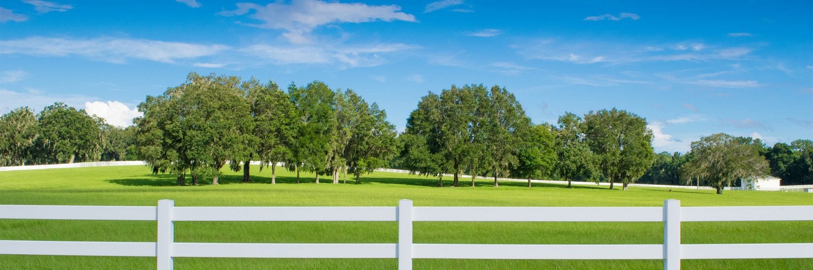 Bice Cole Law Firm in Alachua, FL (2)