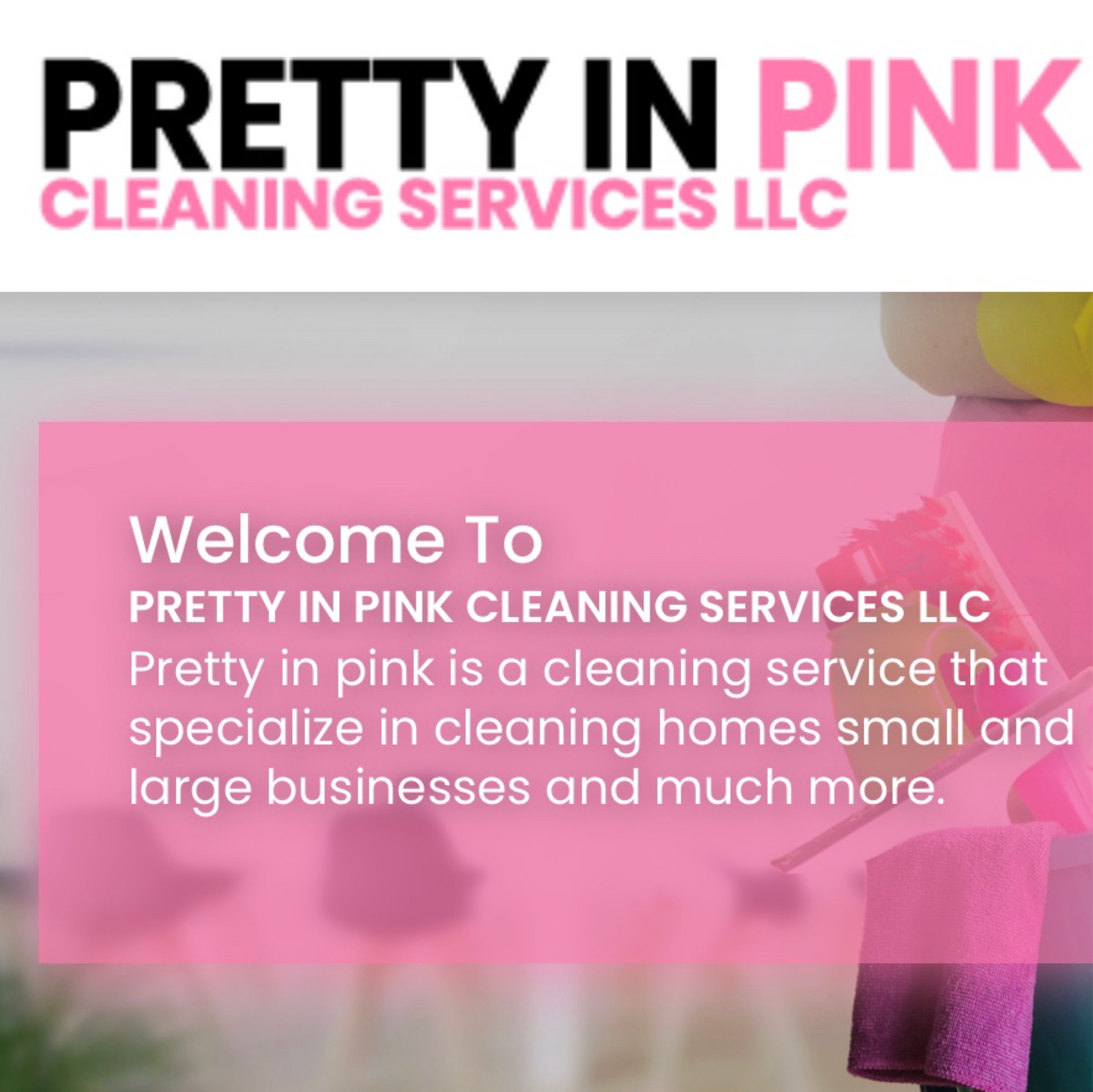 PRETTY IN PINK CLEANING SERVICES LLC in Lauderhill, FL
