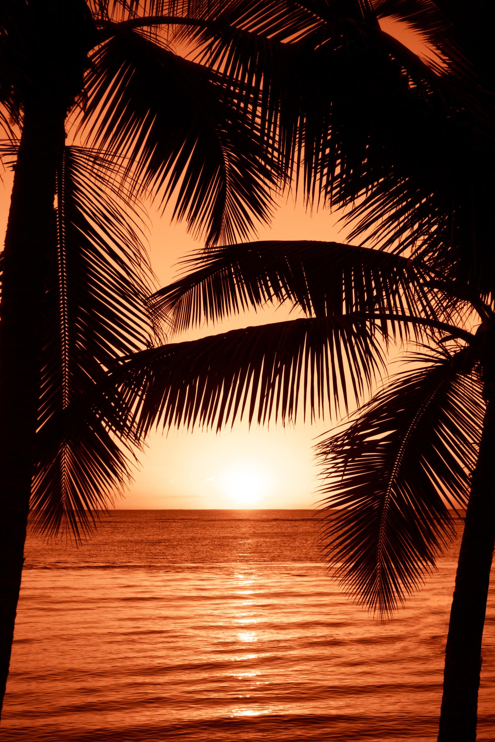 Ka'Tiki in Treasure Island, FL
