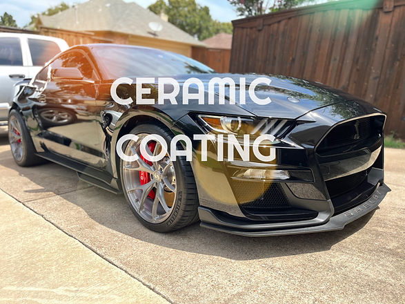 Palms Mobile Detailing in McKinney, TX (4)