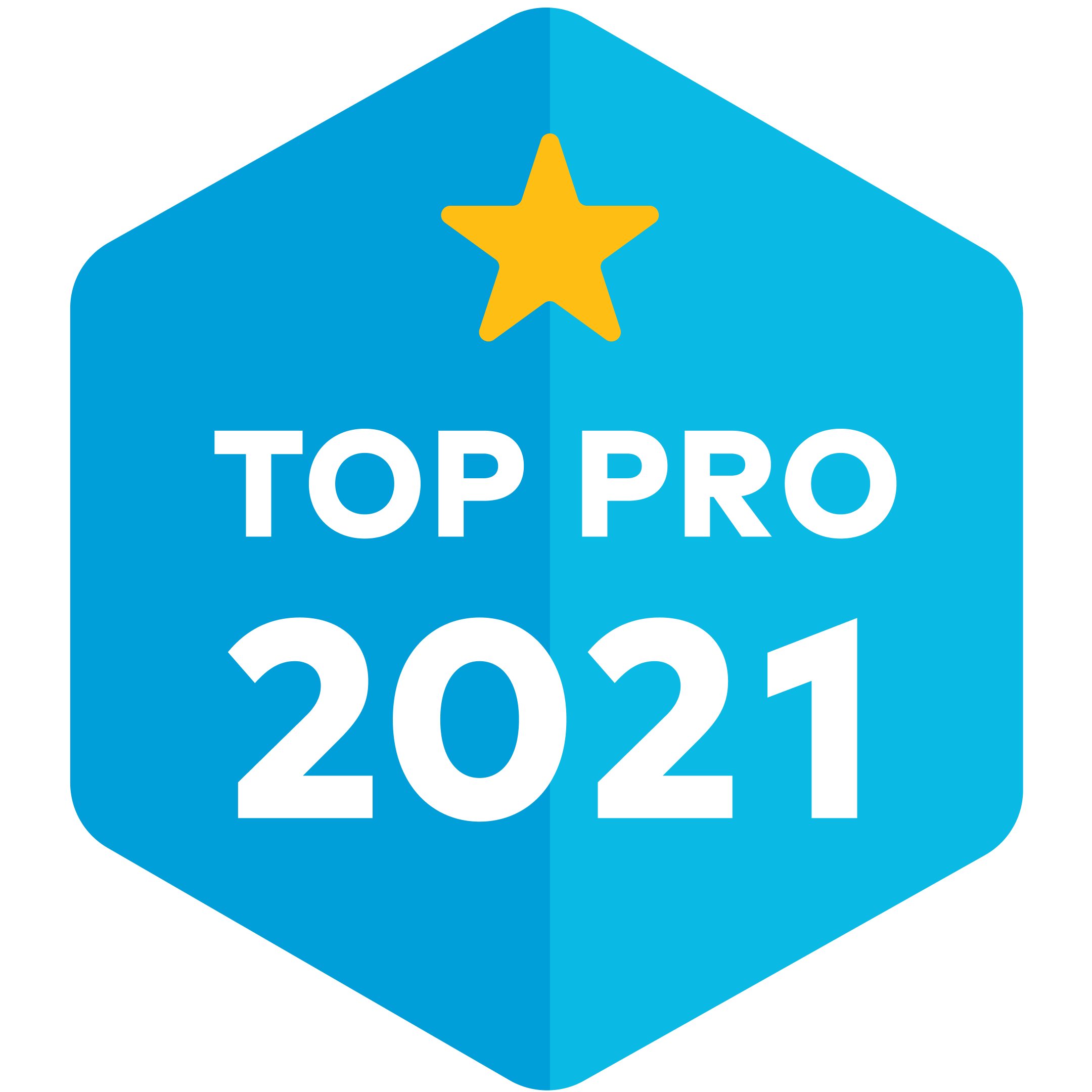 Professional Accounting & Tax Consulting, Inc. in Bellerose, NY (2)