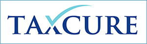 Professional Accounting & Tax Consulting, Inc. in Bellerose, NY (4)