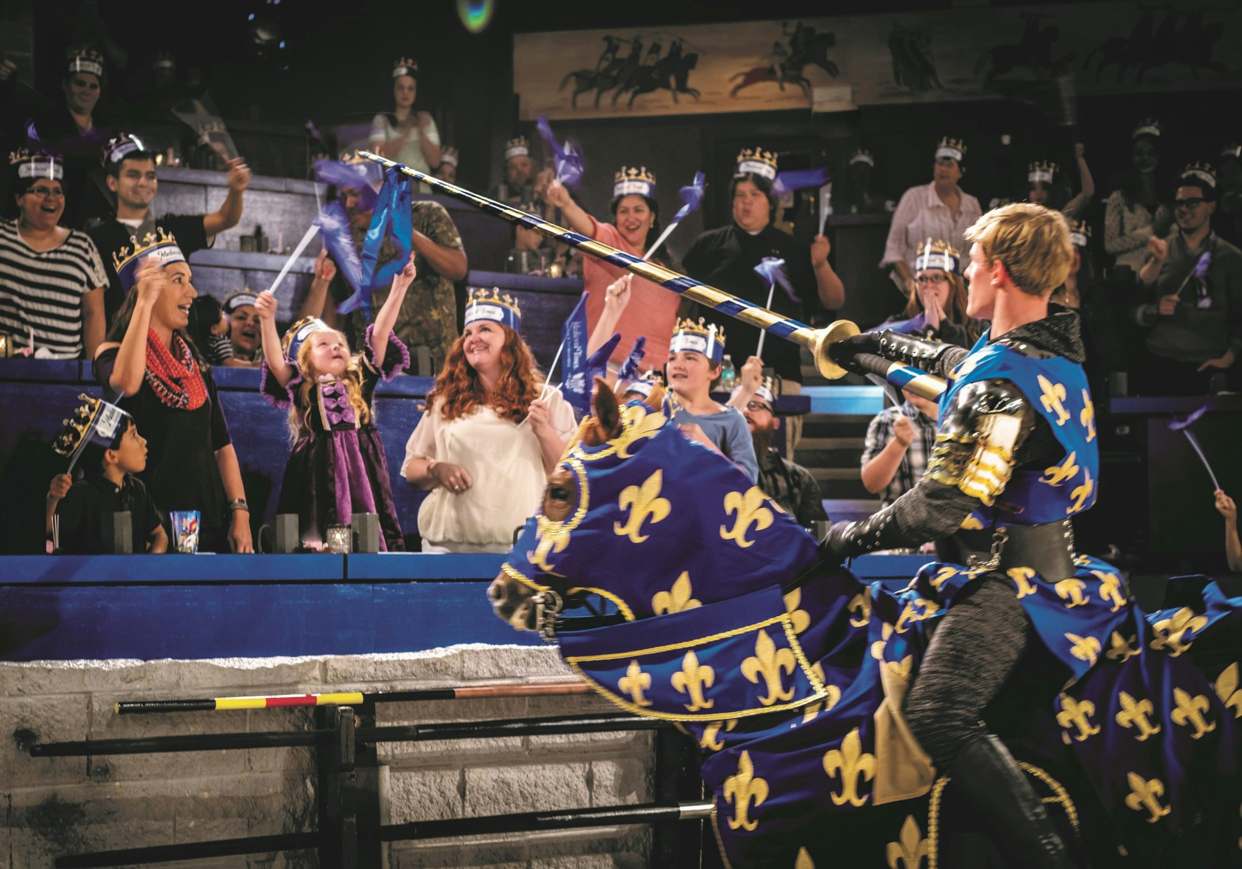 Medieval Times Dinner & Tournament in Schaumburg, IL (2)