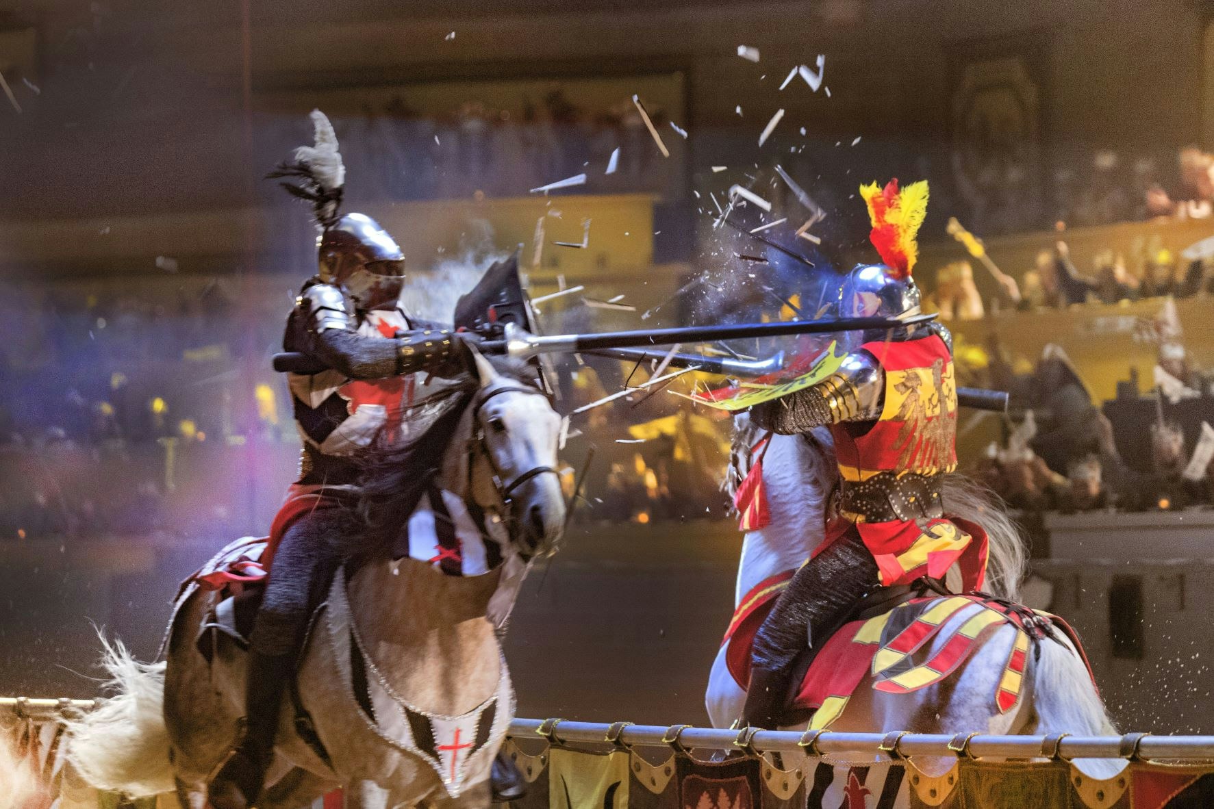 Medieval Times Dinner & Tournament in Schaumburg, IL (4)