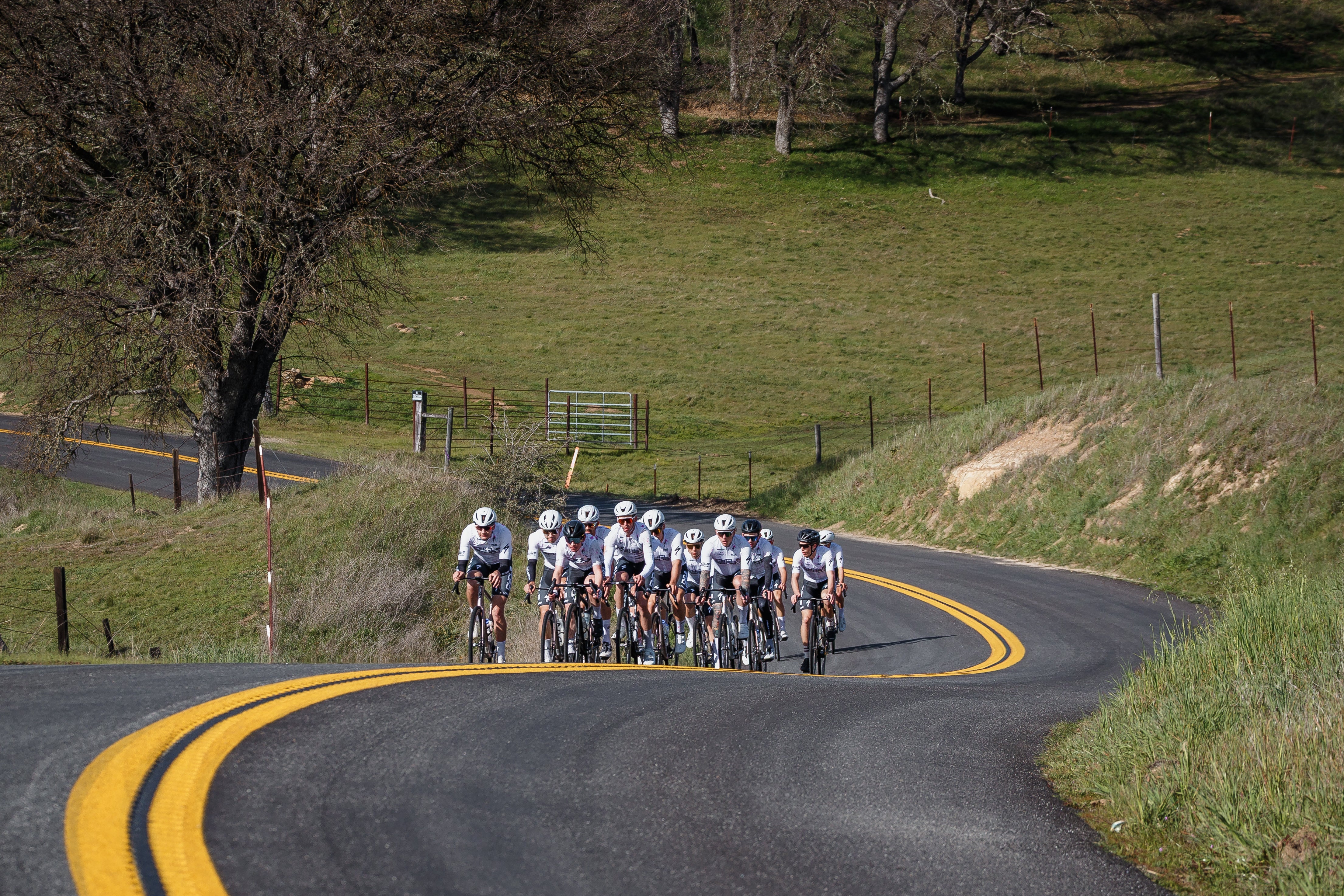 Scotts Valley Cycle Sport in Scotts Valley, CA (4)