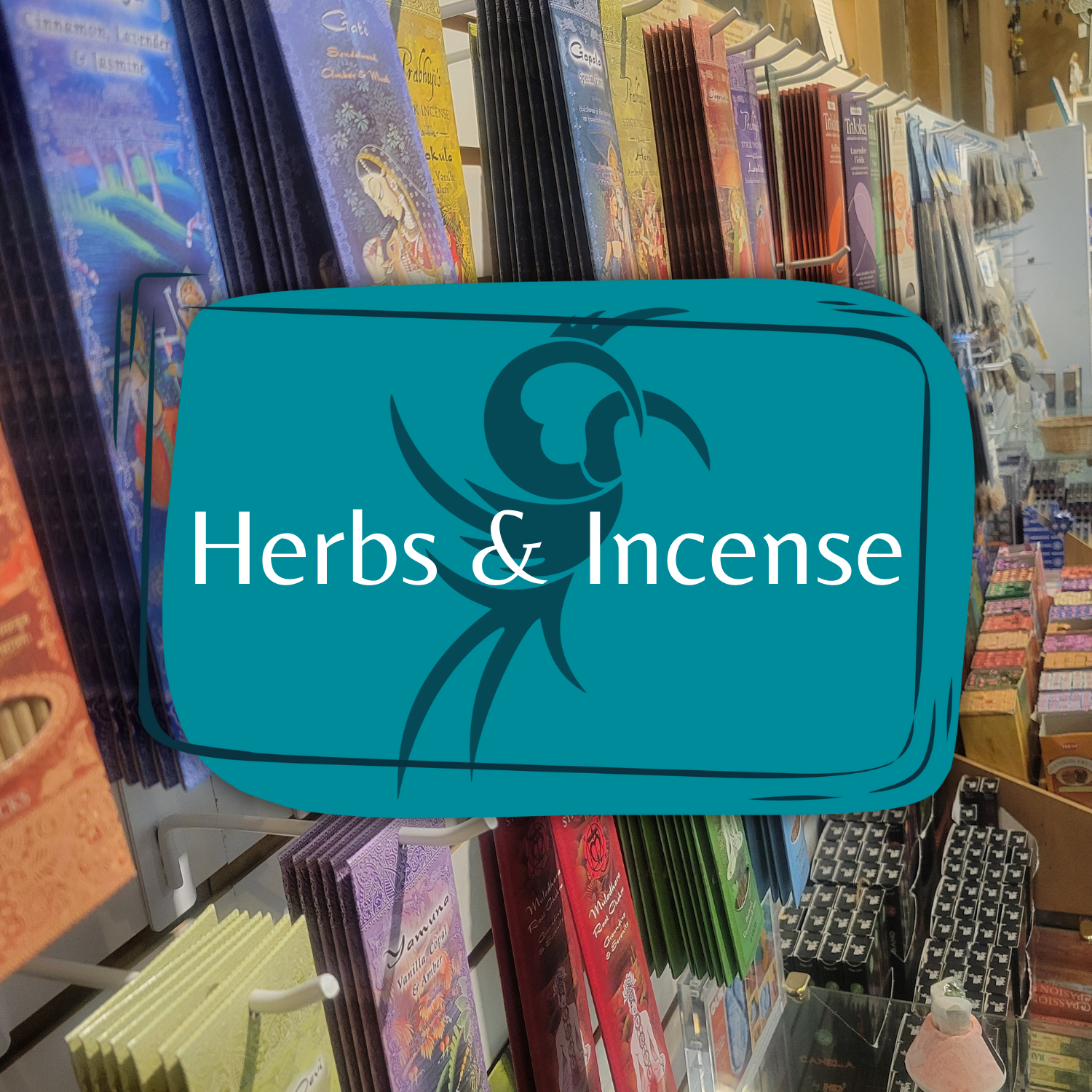 Phoenix & Dragon Bookstore in Sandy Springs, GA (2)