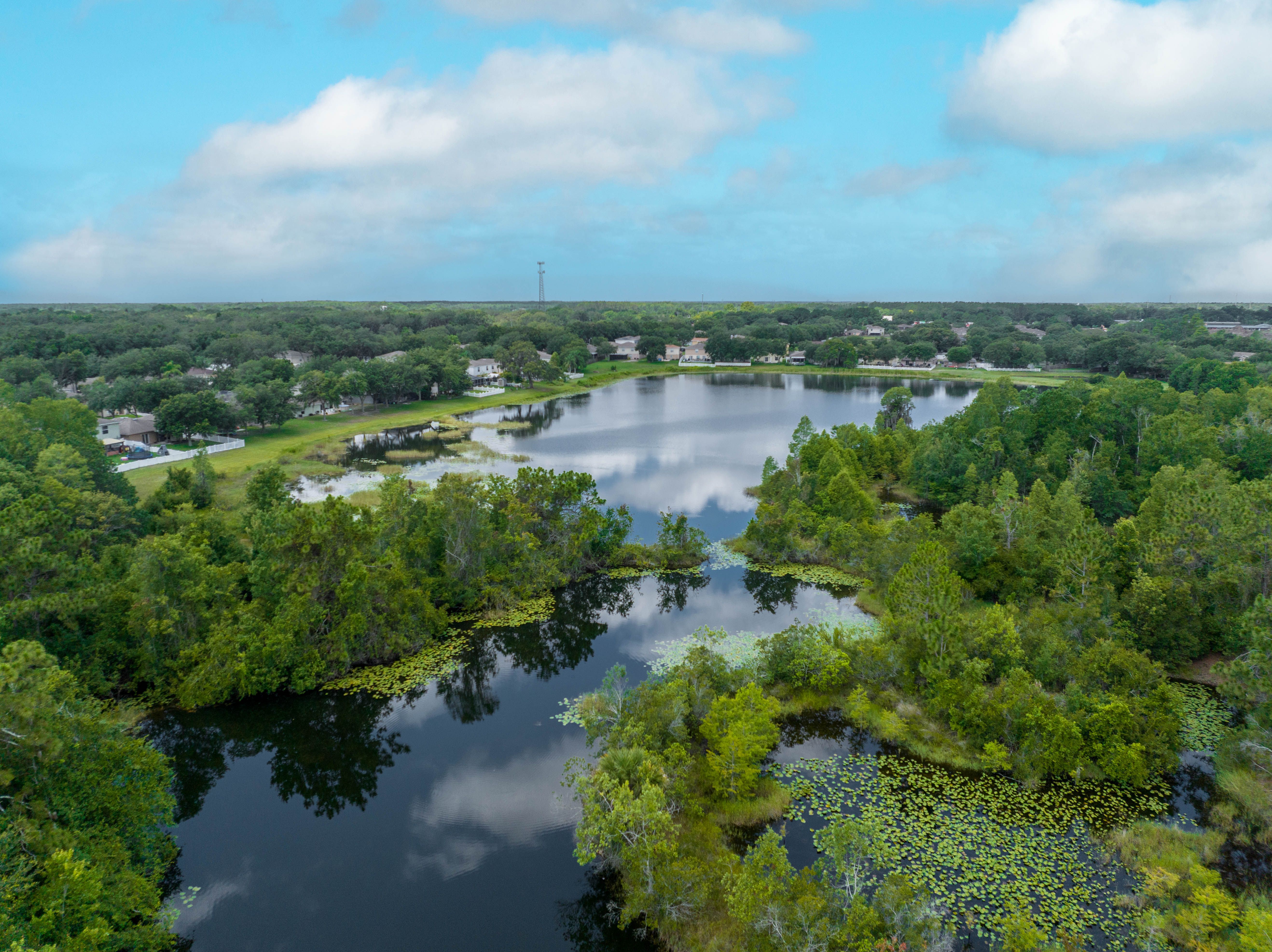 Jeny Luz Hoyos REALTOR@ in Indian Rocks Beach, FL (2)