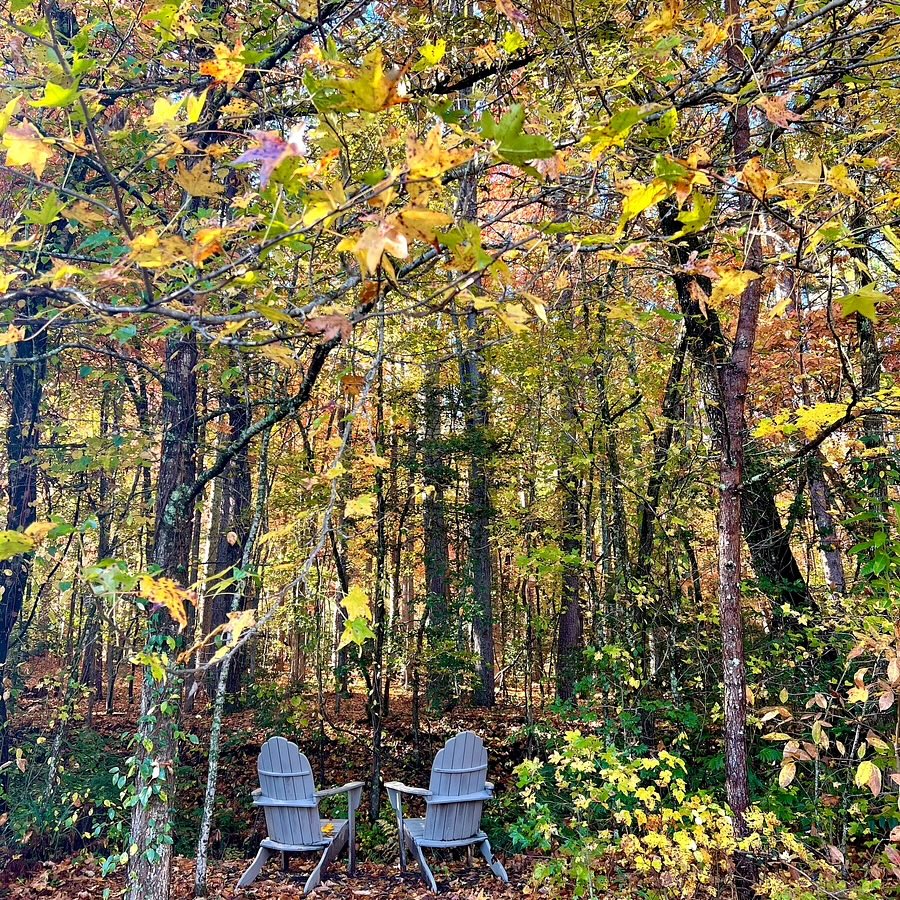 Glen-Ella Springs Hotel & Restaurant in Clarkesville, GA (3)