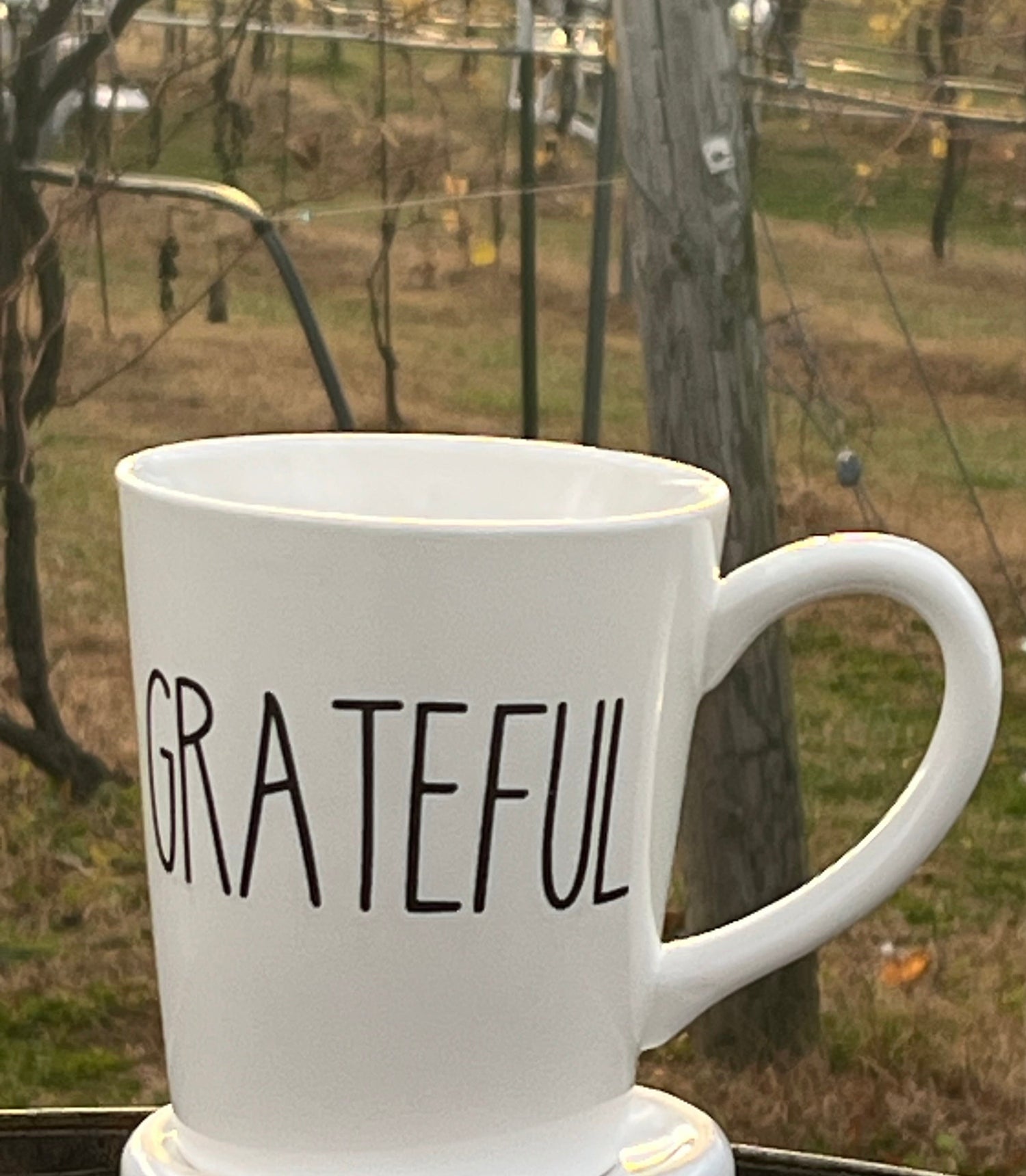 Cracked Bean LLC in Saylorsburg, PA (3)