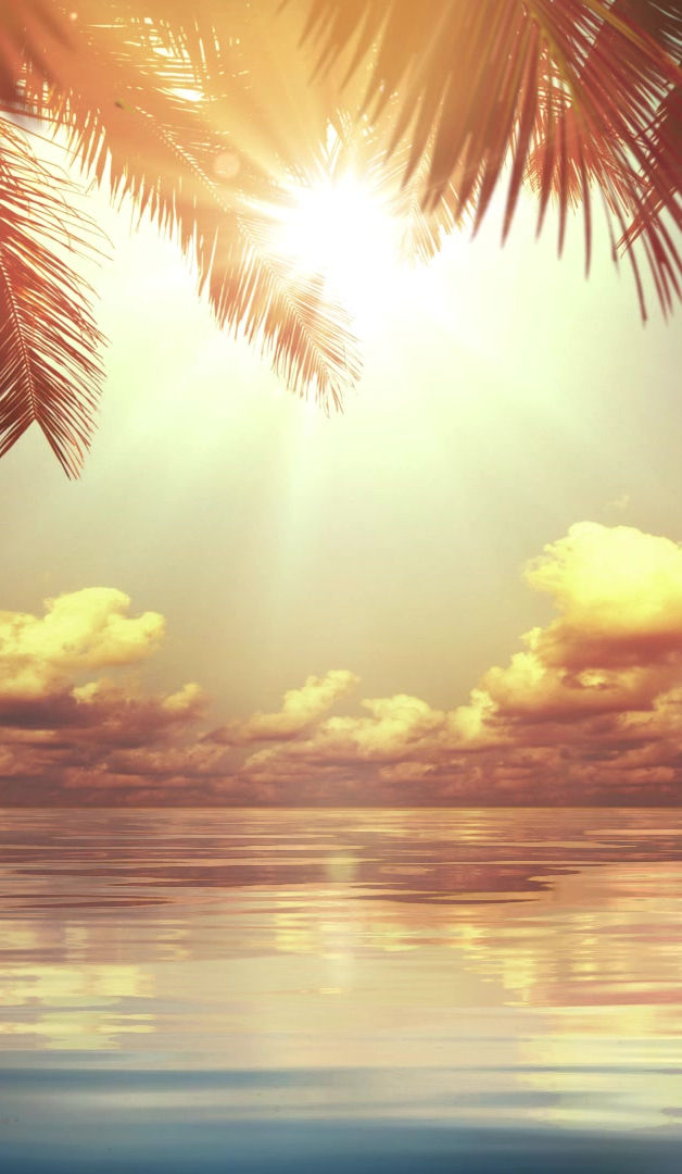 JUSTIN METZ, CPA PLLC in Vero Beach, FL