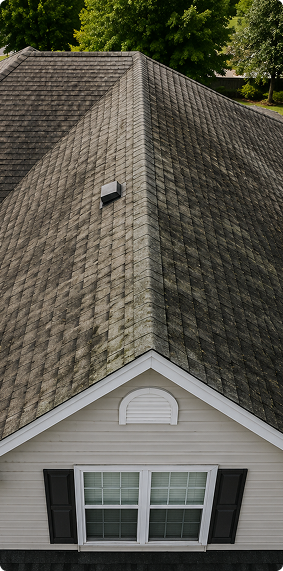 Trice Power Washing and Cleaning, LLC in East Sparta, OH (5)