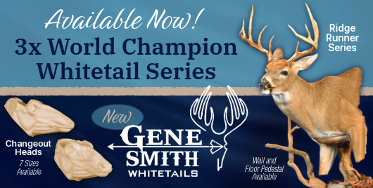 McKenzie Taxidermy Supply- Caldwell in Caldwell, TX (2)
