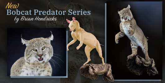McKenzie Taxidermy Supply- Caldwell in Caldwell, TX (3)