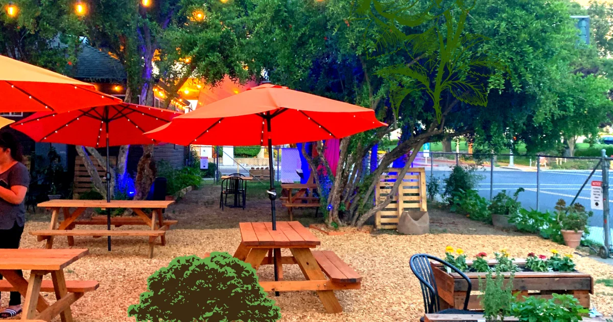 Tree House Cafe West Sac in West Sacramento, CA