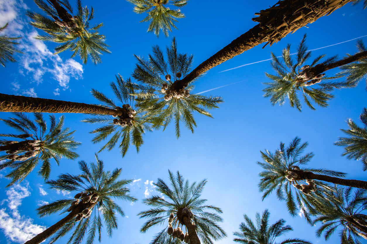 Palm Desert Area Chamber of Commerce in Palm Desert, CA