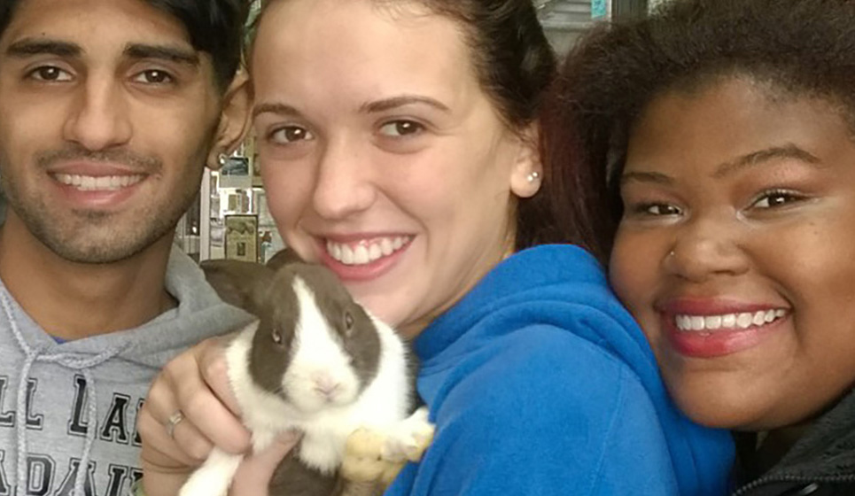 The Animal Store in Lincolnwood, IL (5)