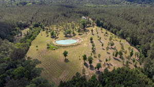 M. Moffett & Co East Texas Land in Woodville, TX (5)