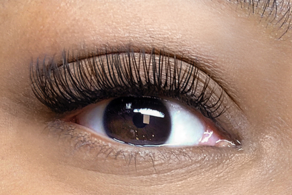 The Lash Lounge in Glendale, WI