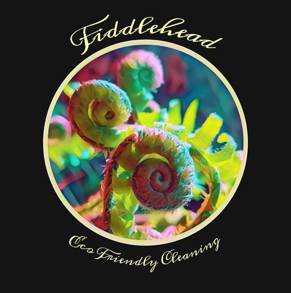 Fiddlehead Eco-Friendly Cleaning in Leicester, NC (4)