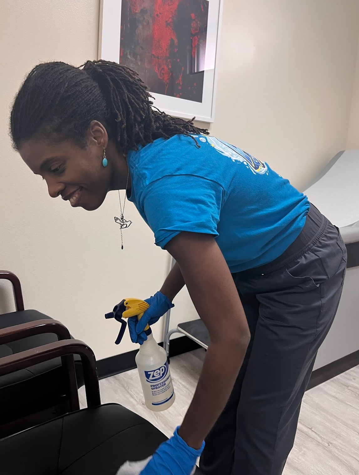 A1 Cleaning Services in Tavares, FL (2)