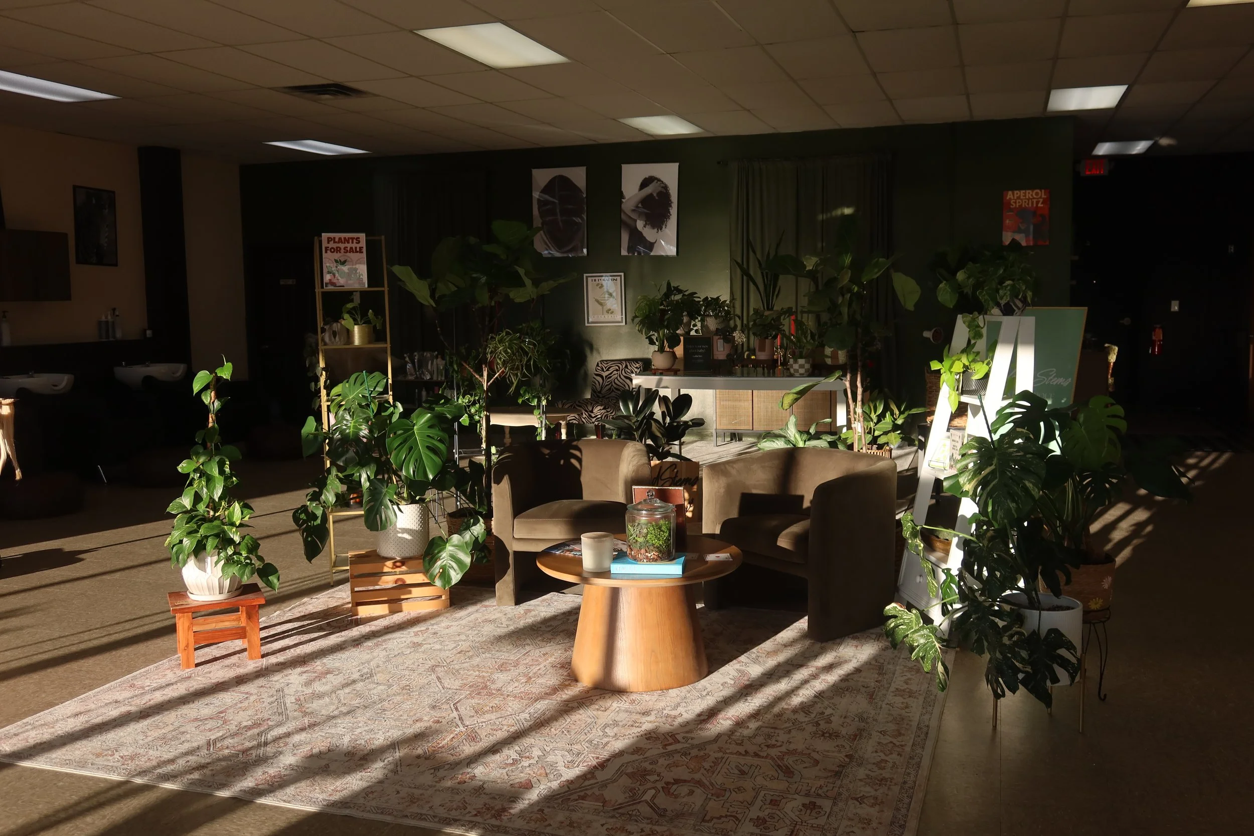 Styled Hair Co. in Toledo, OH
