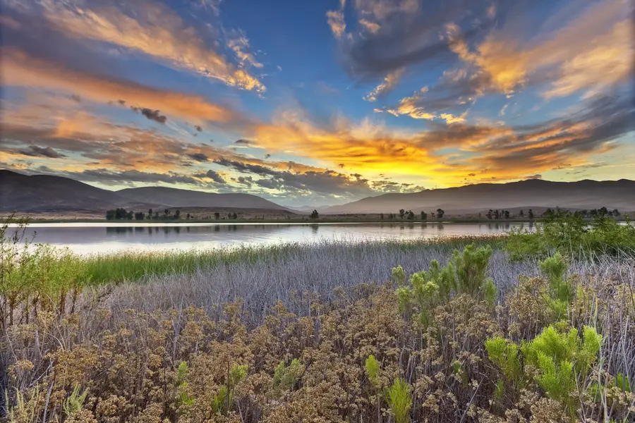 Claudia Rodriguez, Coldwell Banker West in Chula Vista, CA (4)