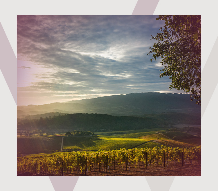 Vance & Wills, P.C. in Napa, CA (3)