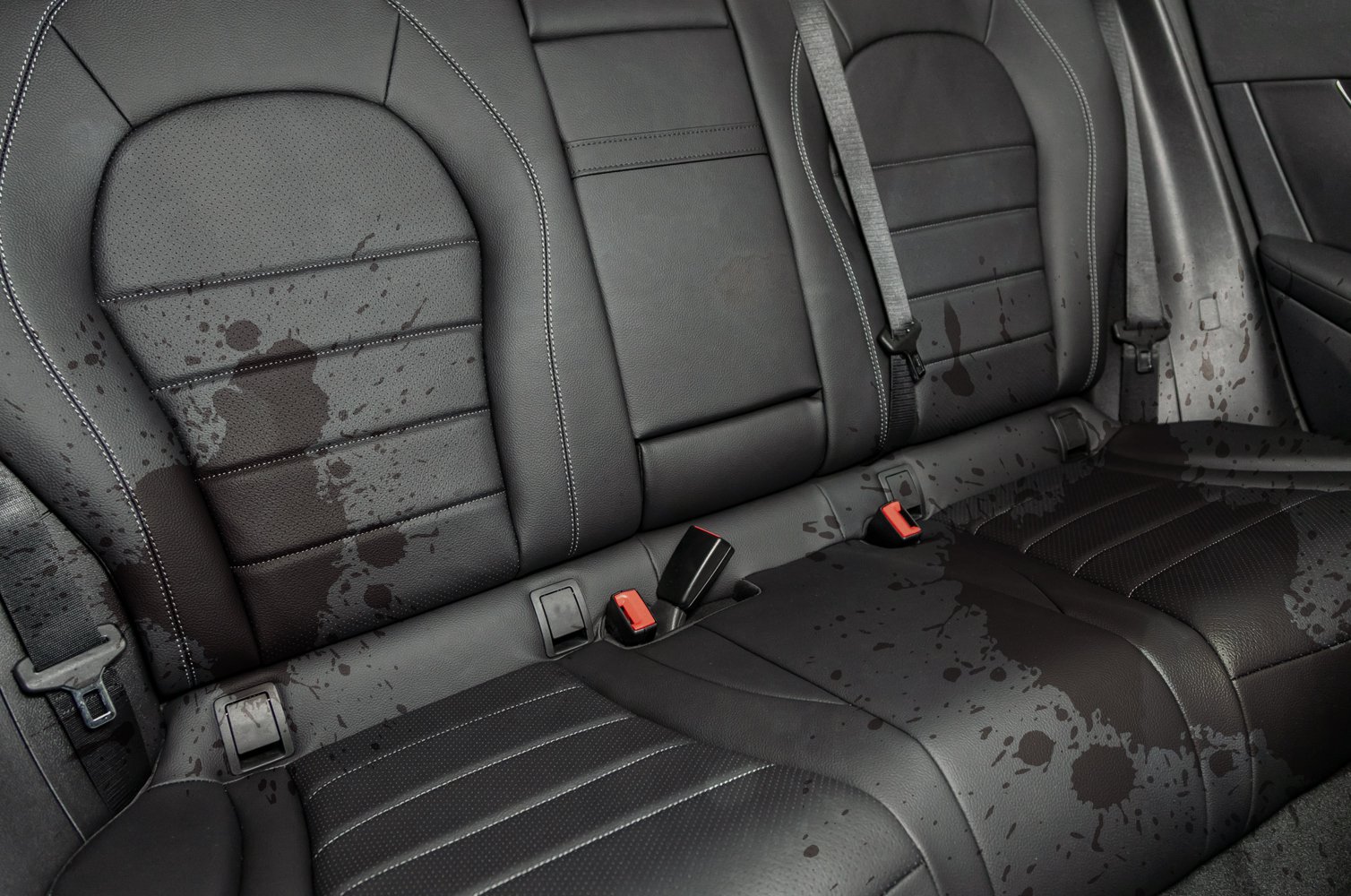 Rays Royal Detailing LLC in Valley Stream, NY (4)