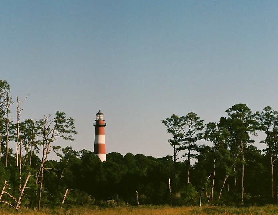 Daisey's Island Cruises in Chincoteague, VA