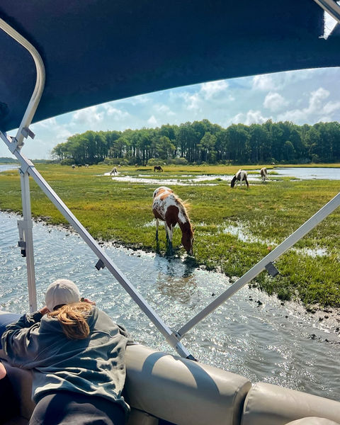 Daisey's Island Cruises in Chincoteague, VA (2)