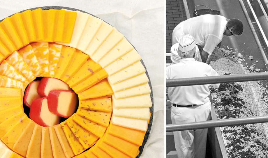 Wisconsin Dairy State Cheese Company in Rudolph, WI (2)