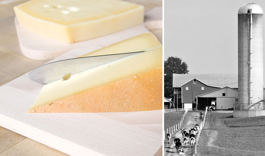 Wisconsin Dairy State Cheese Company in Rudolph, WI (6)