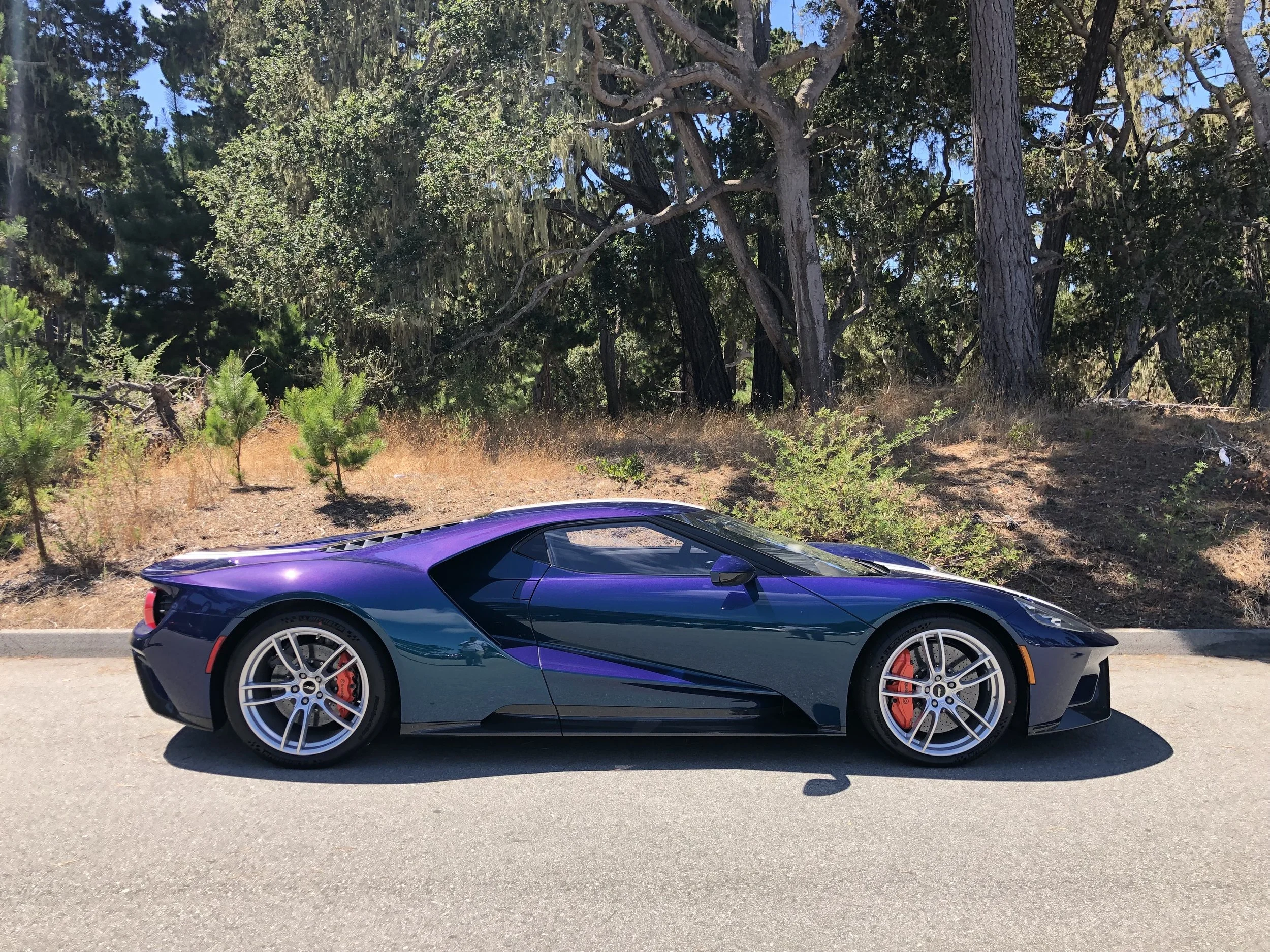 Ottati Car Detailing in Concord, CA