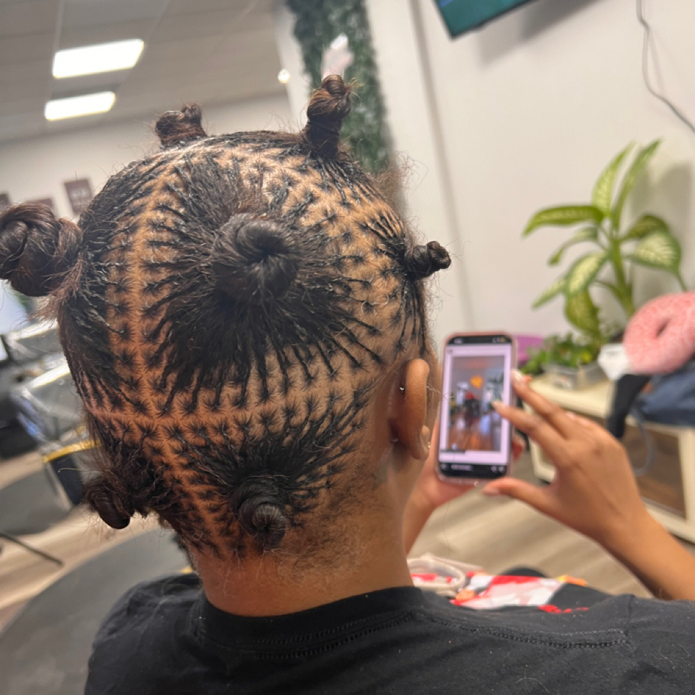 Byrd’s Braids & Beauty Parlor in Crestwood, IL (3)