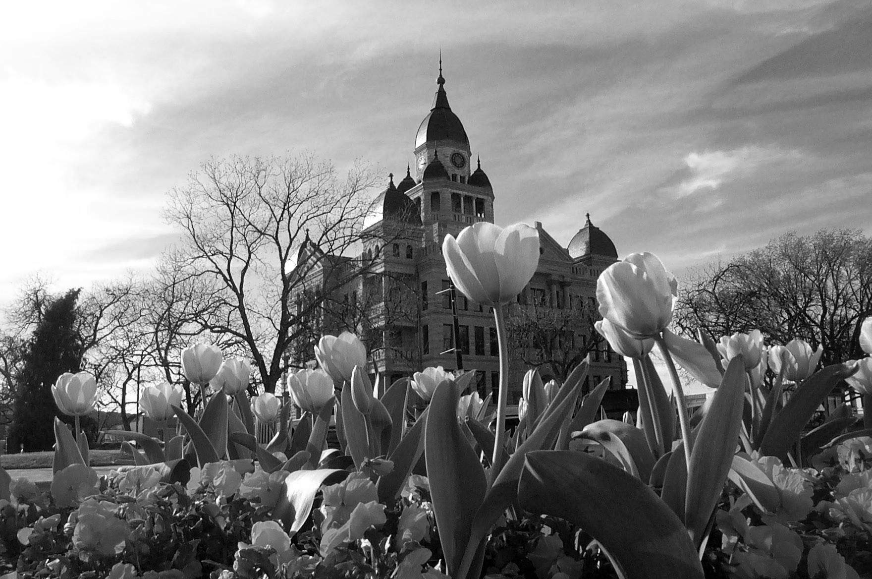 Denton Chamber of Commerce in Denton, TX (6)