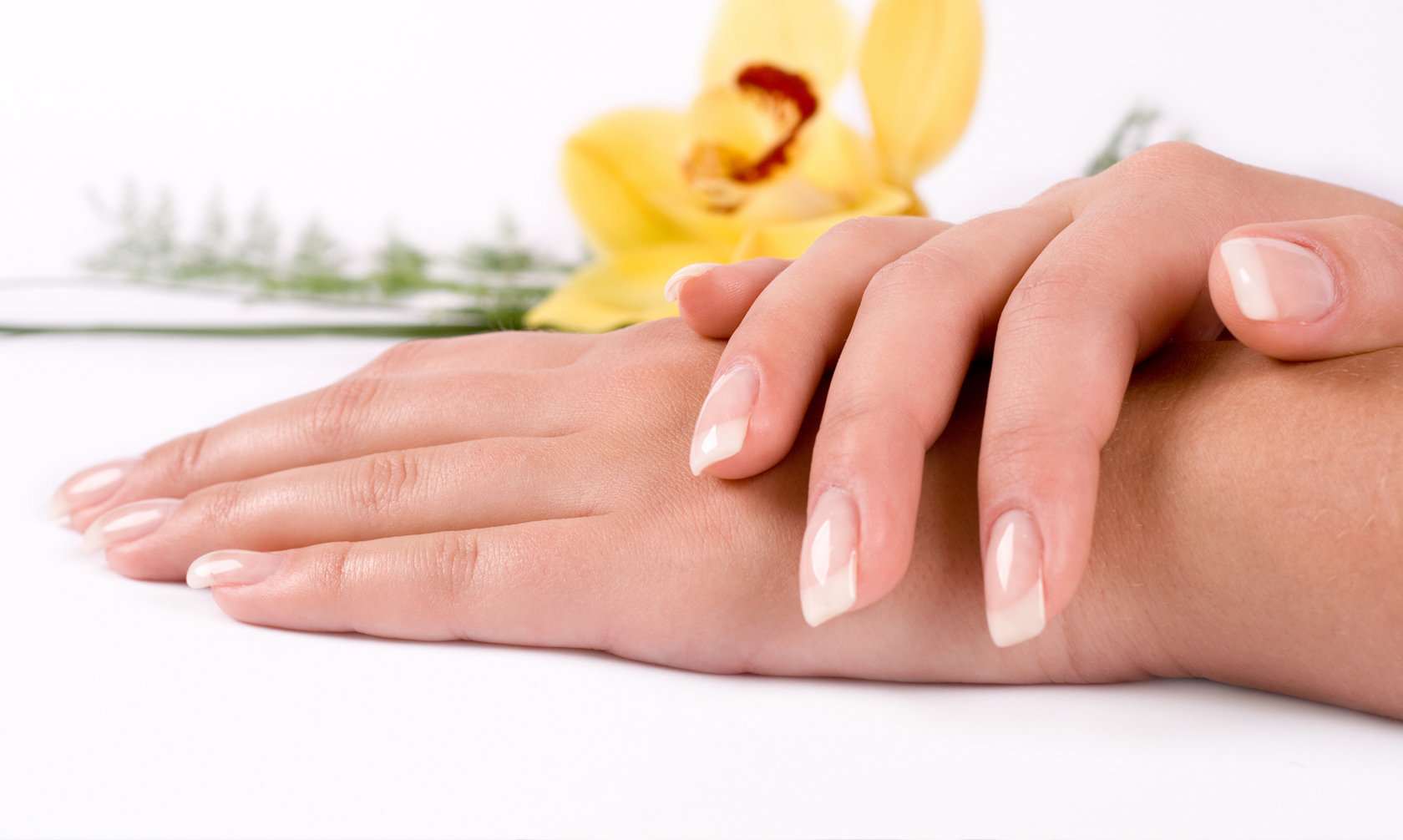 Pure Nails Spa Salon Pasadena Ca in Pasadena, CA (2)