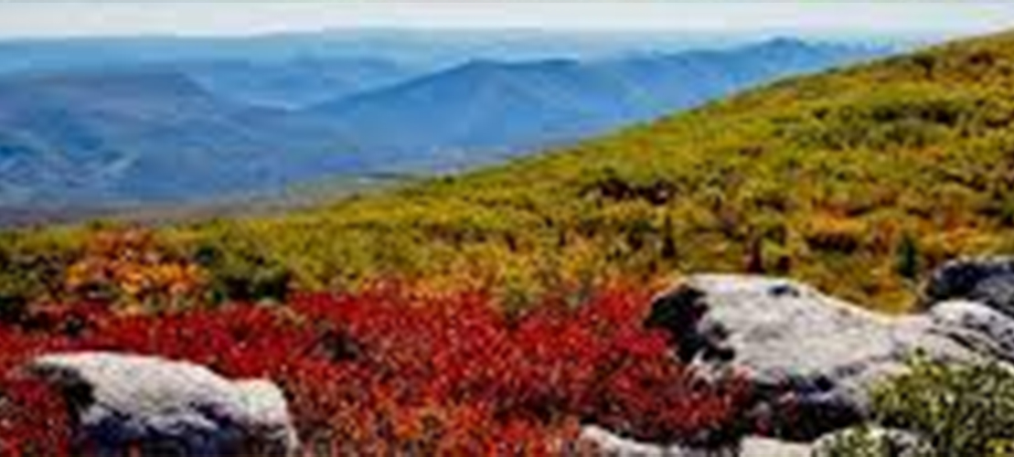 Country Roads Real Estate in Princeton, WV (4)