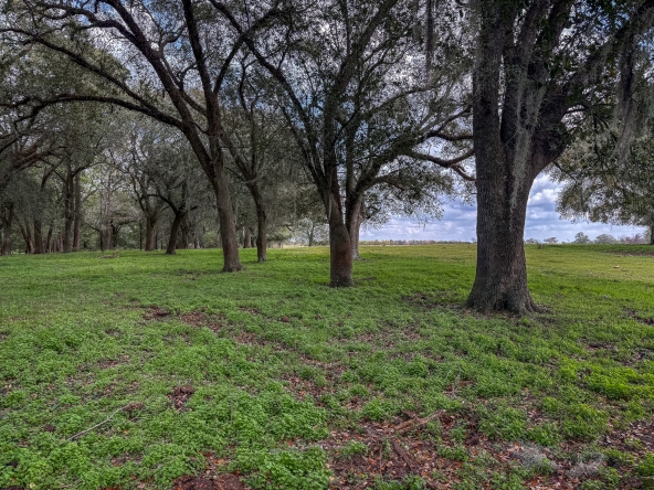 New Era Land Company in Americus, GA (2)